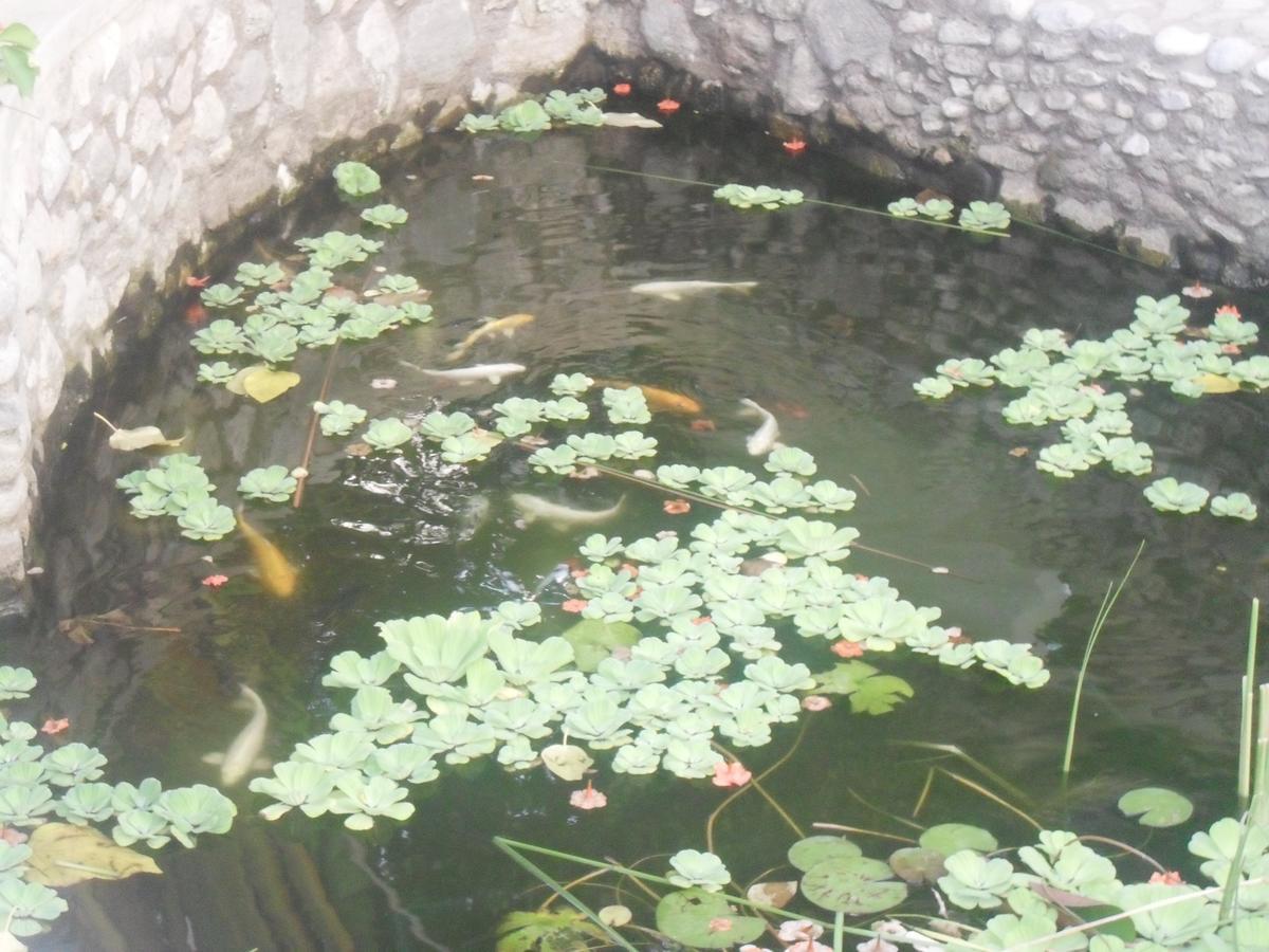 Garden Roomz Oman Маскат Екстериор снимка