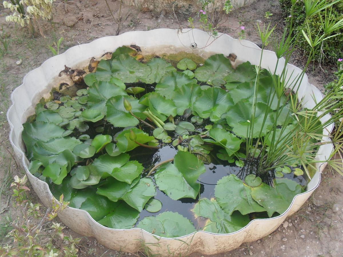 Garden Roomz Oman Маскат Екстериор снимка