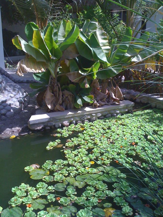 Garden Roomz Oman Маскат Екстериор снимка