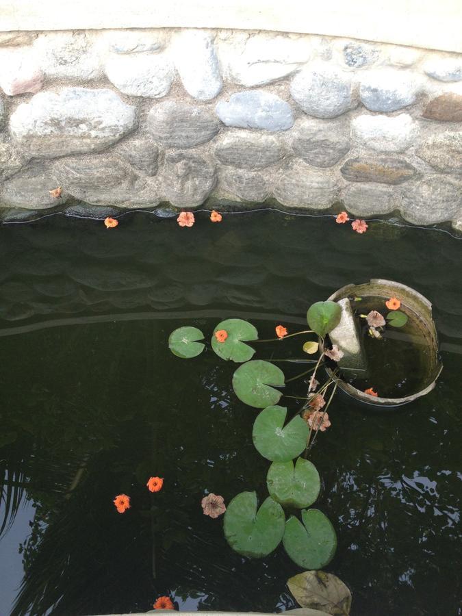 Garden Roomz Oman Маскат Екстериор снимка