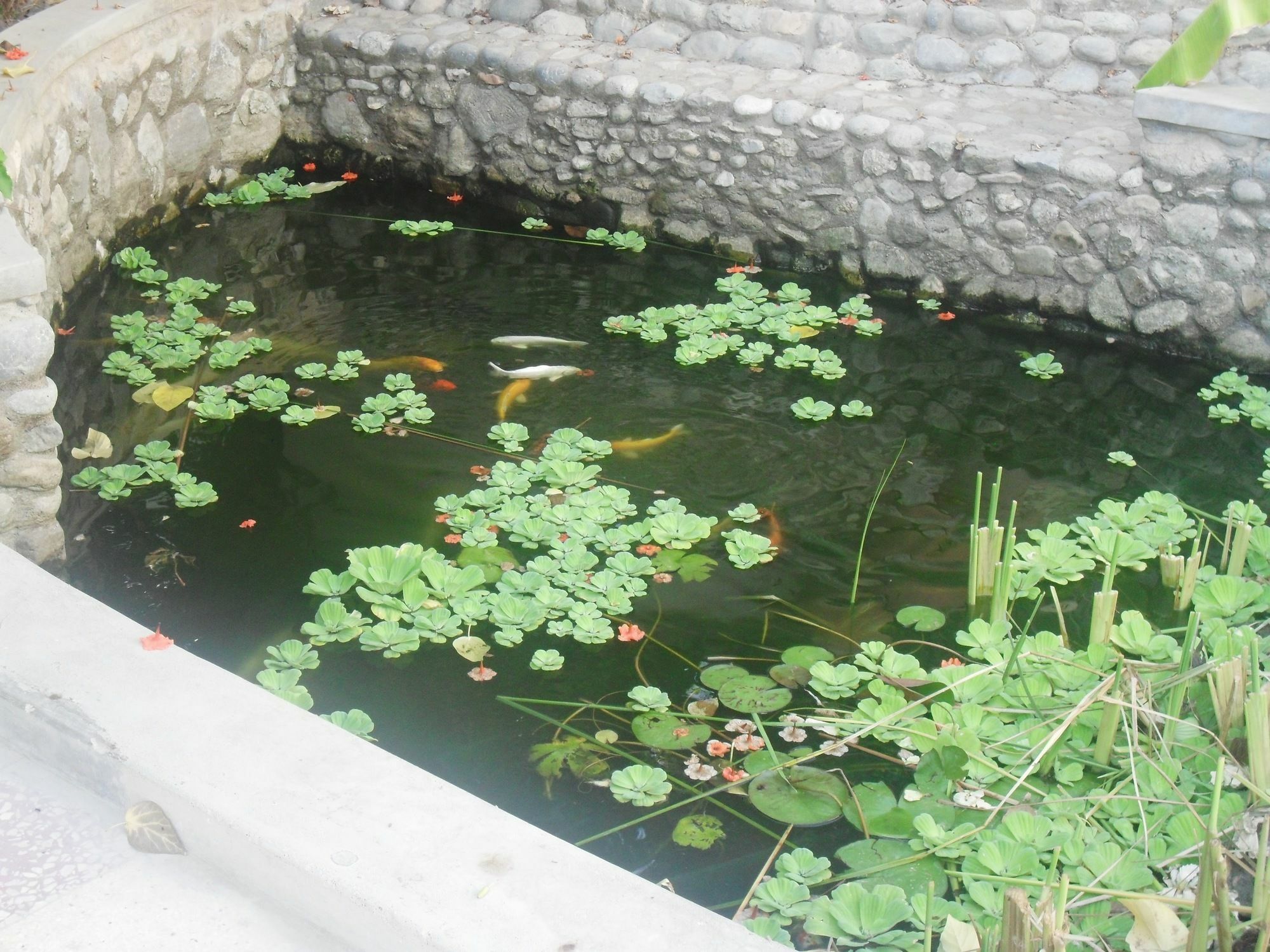 Garden Roomz Oman Маскат Екстериор снимка